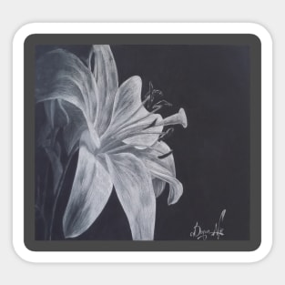 Flower charcoal drawing Sticker